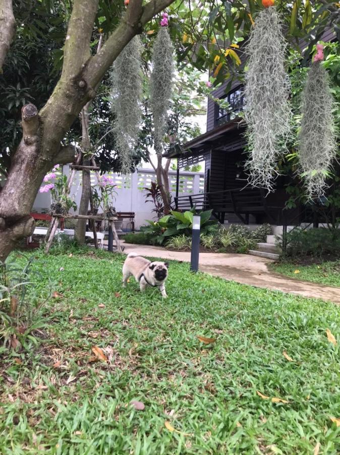 Baansuanklaiklungbangkrachao บ้านสวนใกล้กรุงบางกะเจ้า Phra Pradaeng Екстер'єр фото
